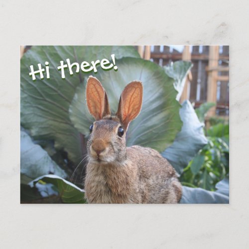 Wild Rabbit Cute Bunny in Garden Any Occasion Postcard