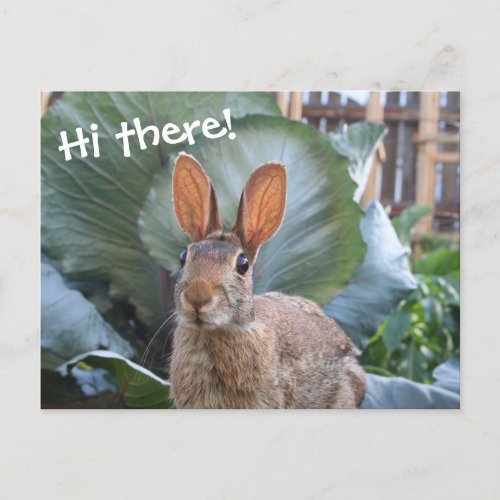 Wild Rabbit Cute Bunny in Garden Any Occasion Postcard