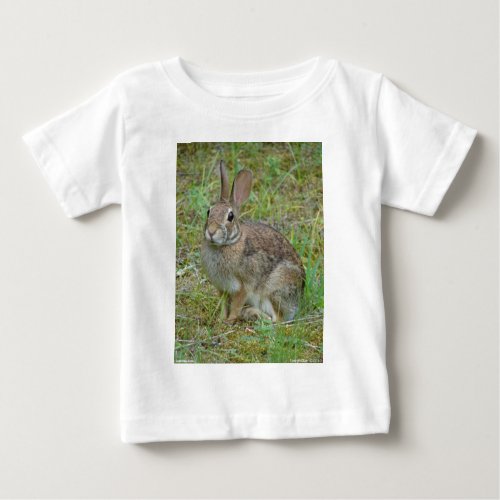 Wild Rabbit Eastern Cottontail Apparel and Gifts Baby T_Shirt
