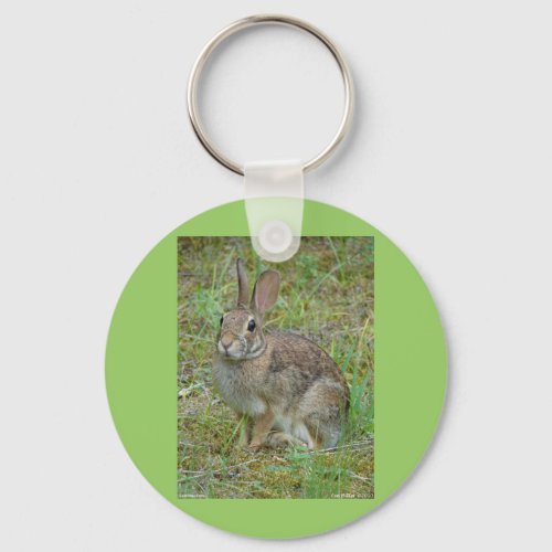 Wild Rabbit Eastern Cottontail Apparel and Gifts Keychain