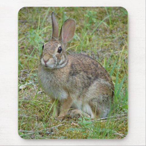 Wild Rabbit Eastern Cottontail Apparel and Gifts Mouse Pad