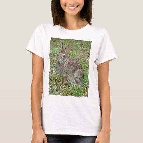 Wild Rabbit Eastern Cottontail Apparel and Gifts T_Shirt