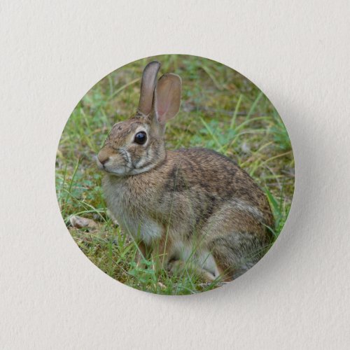 Wild Rabbit Eastern Cottontail II Apparel  Gifts Button