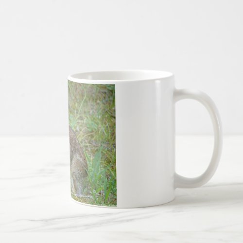 Wild Rabbit Eastern Cottontail II Apparel  Gifts Coffee Mug