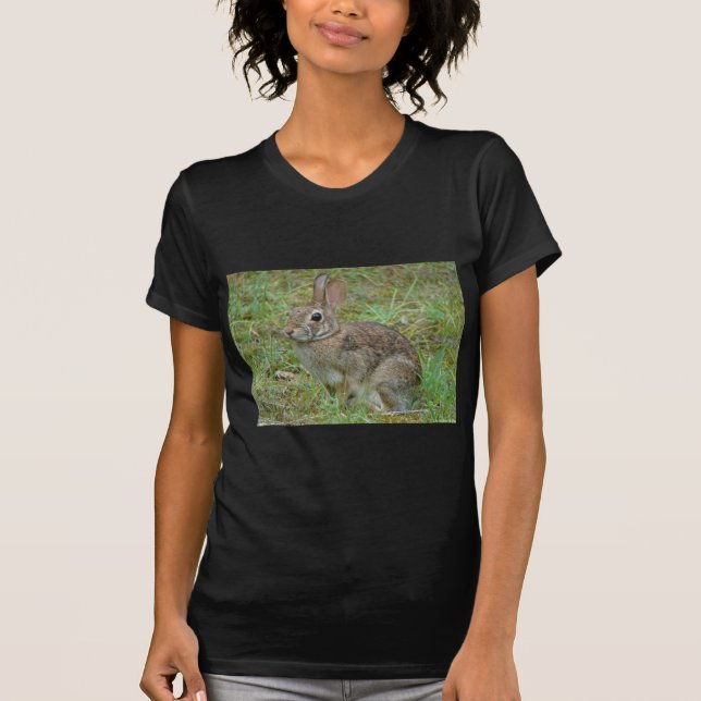 Wild Rabbit Eastern Cottontail II Apparel & Gifts T-Shirt (Front)