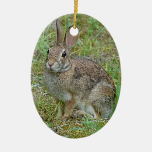 Wild Rabbit Eastern Cottontail Ornament