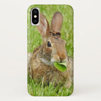Wild Rabbit Eating Leaves iPhone X Case