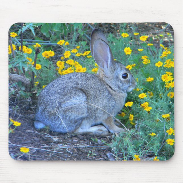 Wild Rabbit in Yellow Flowers Mouse Pad (Front)