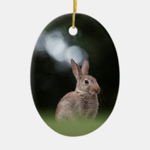 Wild Rabbit Nature Photo Ceramic Ornament