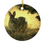 Wild Rabbit Photo Ornament