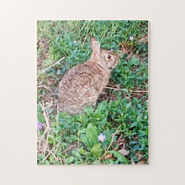 Wild Rabbit Puzzle  (Vertical)