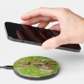 Wild Rabbit, Salad Time Wireless Charger (Hand)