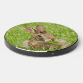 Wild Rabbit, Salad Time Wireless Charger (Front 2)
