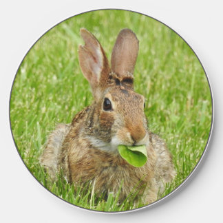 Wild Rabbit, Salad Time Wireless Charger