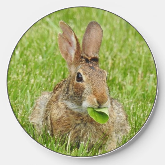 Wild Rabbit, Salad Time Wireless Charger (Front)