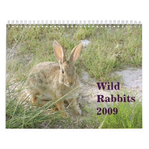 Wild Rabbits 2009 Calendar