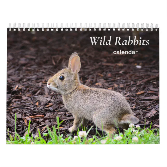 Wild Rabbits Calendar | Zazzle