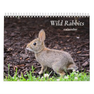 Wild Rabbits Calendar
