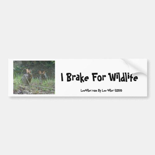 Wild Rabbits Eastern Cottontail Pair Apparel Gifts Bumper Sticker