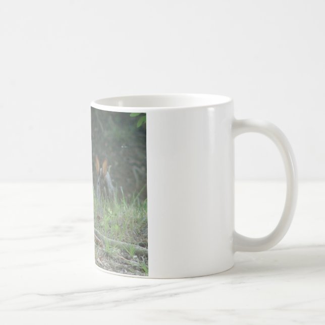 Wild Rabbits Eastern Cottontail Pair Apparel Gifts Coffee Mug (Right)
