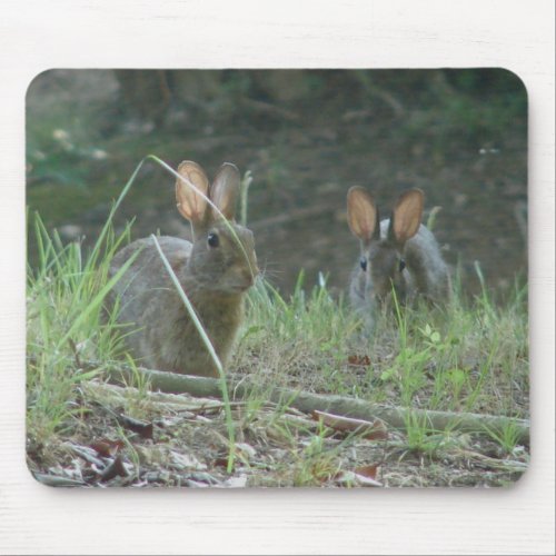 Wild Rabbits Eastern Cottontail Pair Apparel Gifts Mouse Pad