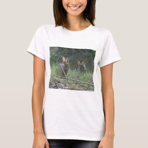 Wild Rabbits Eastern Cottontail Pair Apparel Gifts T_Shirt