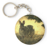Wild Rabbits Keychain