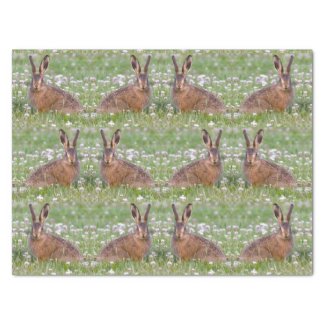 Wild Rabbits Sitting in Clover Tissue Paper