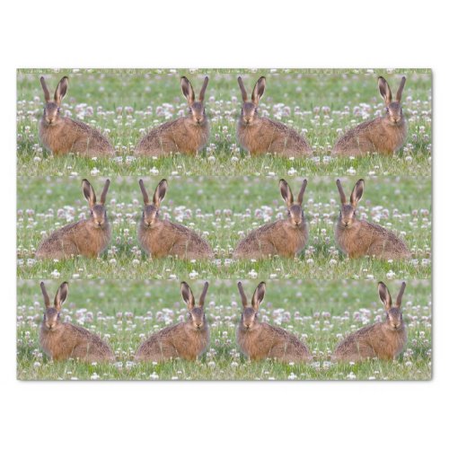 Wild Rabbits Sitting in Clover Tissue Paper