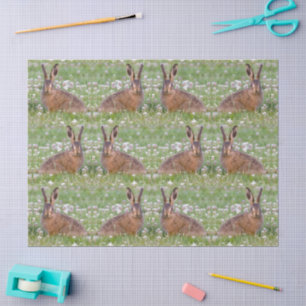 Wild Rabbits Sitting in Clover Tissue Paper