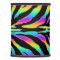 Wild Rainbow Zebra Glitter Stripes Animal Print