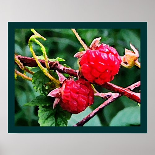 Wild Raspberries Poster