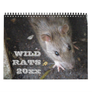 Wild Rats Personalized Calendar