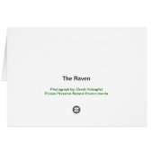 Wild Raven - Card (Back Horizontal)