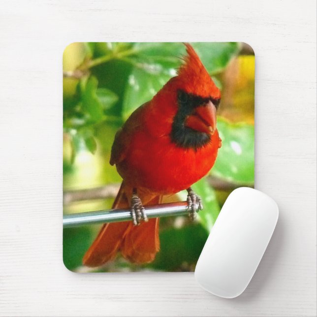 Cardinal Mouse Pad 