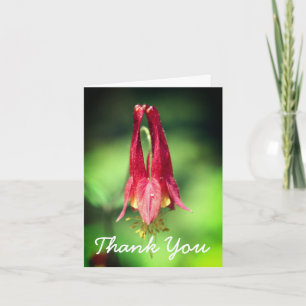 Wild Red Columbine Flower Thank You Card
