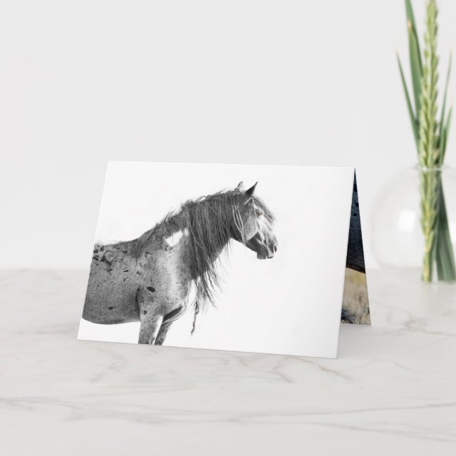 Wild Red Desert Stallion - Greeting Card (Front)