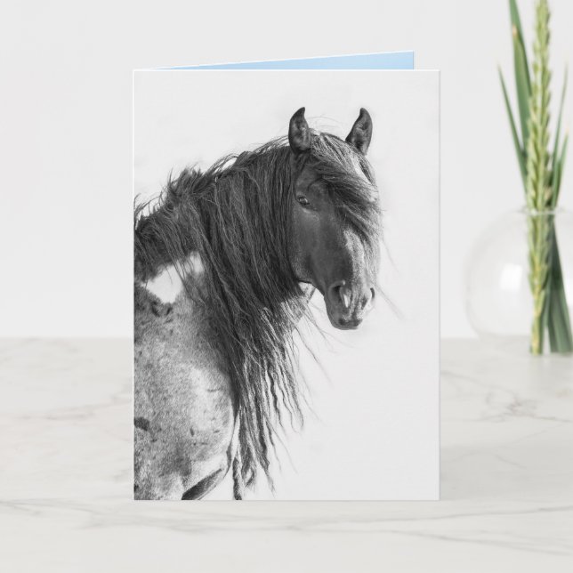 Wild Red Desert Stallion Looks - Greeting Card (Front)