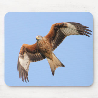 Wild Red Kites Mouse Pad