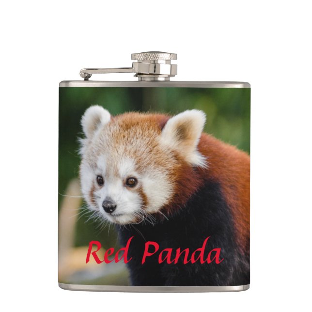 Wild Red Panda  Flask (Front)