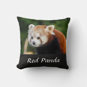Wild Red Panda Nature Photo Throw Pillow