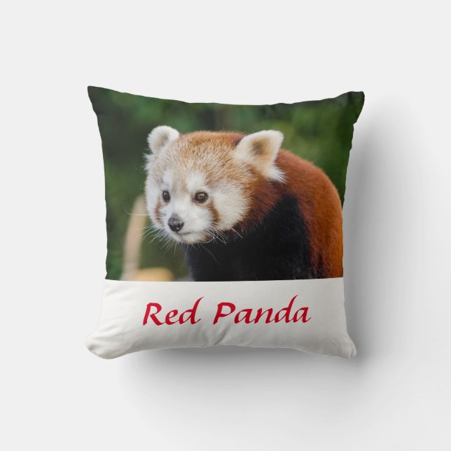 Wild Red Panda Nature Photo Throw Pillow (Front)
