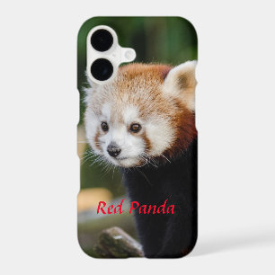 Wild Red Panda Snowy Log Photo iPhone 17 Case