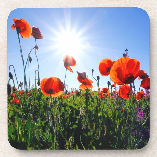 Wild Red Poppies Flowers Beverage Coaster (Front)