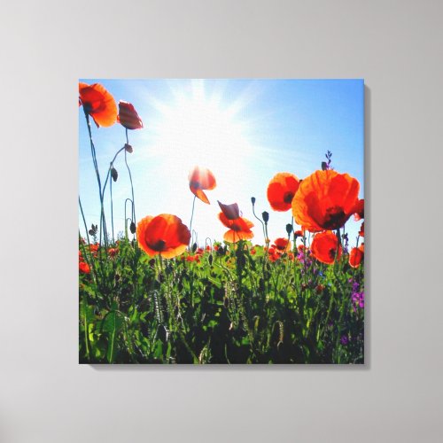 Wild Red Poppies Flowers Canvas Print