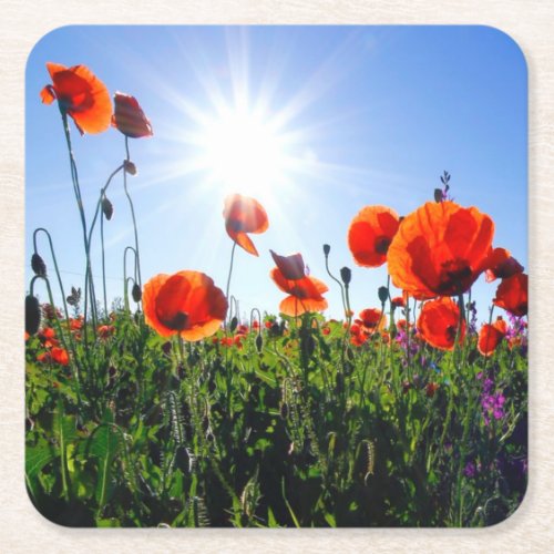 Wild Red Poppies Flowers Square Paper Coaster