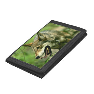 Wild Red Timber Wolf Trifold Wallet