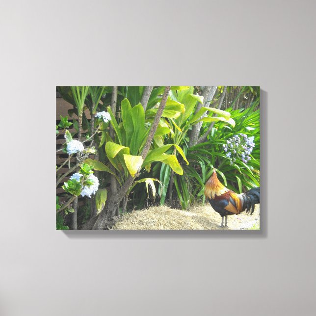 Wild Rooster Canvas Print (Front)