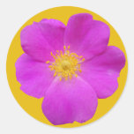 Wild Rose 2 Classic Round Sticker