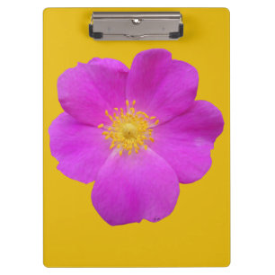 Wild Rose 2 Clipboard